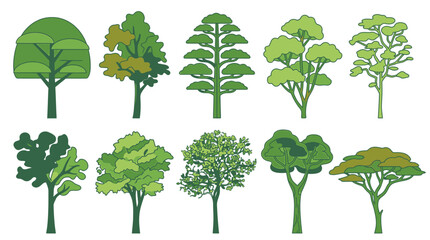 Fototapeta premium Set di dieci icone vettoriali piatte che rappresentano diverse specie di alberi stilizzati con chiome verdi su sfondo bianco per progetti di architettura del paesaggio e design.