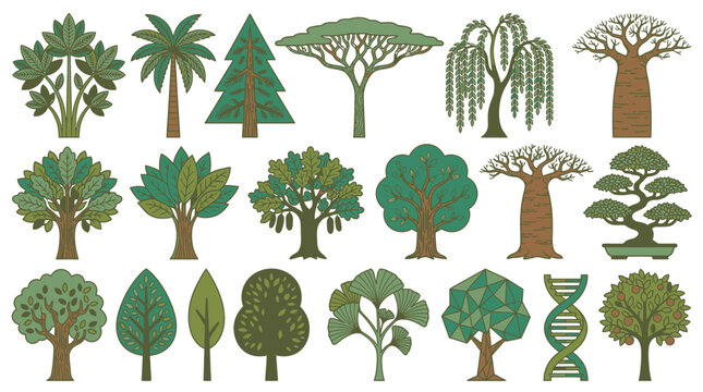 Ensemble d'ic&ocirc;nes vectorielles repr&eacute;sentant diverses esp&egrave;ces d'arbres stylis&eacute;s, y compris des conif&egrave;res, des feuillus, des palmiers et des baobabs sur un fond blanc isol&eacute;