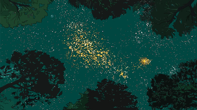Vista de &acirc;ngulo baixo de um c&eacute;u noturno estrelado e brilhante cercado por silhuetas de copas de &aacute;rvores escuras em uma floresta serena durante a noite.