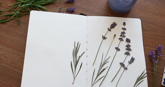 Scented candle burning near open sketchbook with lavender flowers. Coziest herbarium process flat lay composition on wooden table. Botanical collection hobby workshop relaxed atmosphere concept video.