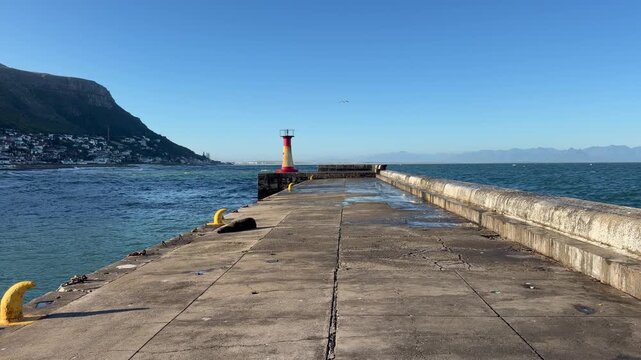The Pier at Kalk Bay Harbour, near Cape Town.
