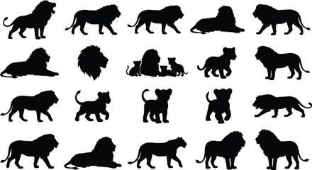 Set of black lion silhouettes showing various natural behaviors like walking, sitting, and roaring isolated on a white background for © GR Graphics