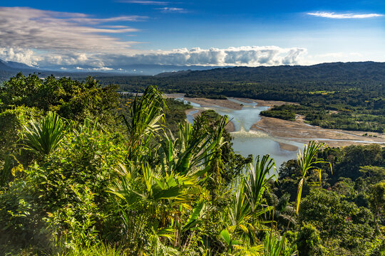 tropical rainforest view from the river Peru.