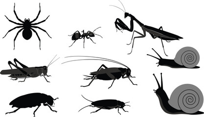 Insects and Bugs Silhouette Vector Set with Spider Mantis Snail and CricketInsects and Bugs Silhouette Vector Set with Spider Mantis Snail and Cricket © MDMAZADUR
