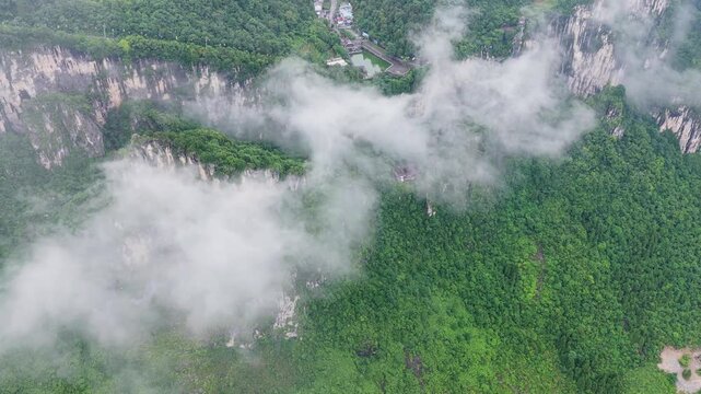 Summer scenery of Huanghe Maple Forest and Yunding Scenic Area, Enshi, Hubei, China