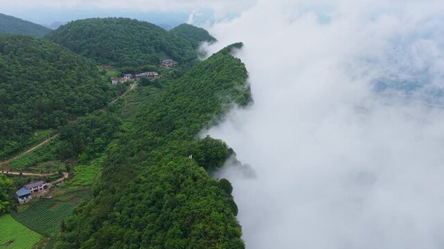 Summer scenery of Huanghe Maple Forest and Yunding Scenic Area, Enshi, Hubei, China