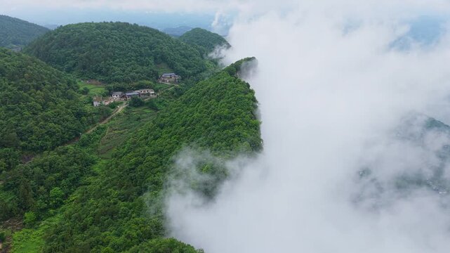 Summer scenery of Huanghe Maple Forest and Yunding Scenic Area, Enshi, Hubei, China