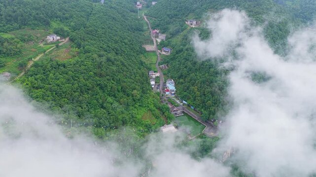 Summer scenery of Huanghe Maple Forest and Yunding Scenic Area, Enshi, Hubei, China
