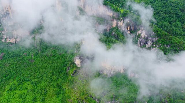 Summer scenery of Huanghe Maple Forest and Yunding Scenic Area, Enshi, Hubei, China