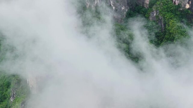 Summer scenery of Huanghe Maple Forest and Yunding Scenic Area, Enshi, Hubei, China