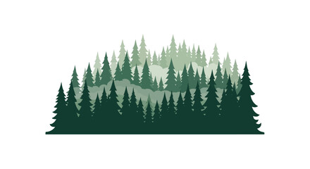 Obraz premium Dense evergreen pine forest in shades of green