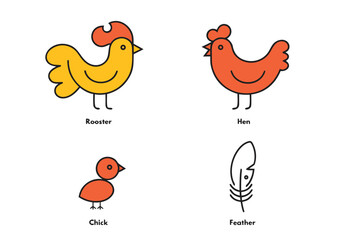 Rooster, Hen, Chick, and Feather - Hand Drawn Line Art Icons  © Aryan  ali