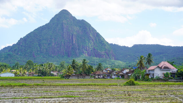 A scenic landscape view of Mount Suwur in Trenggalek Regency, East Java, Indonesia. The majestic, steep-sloped mountain towers over a rural countryside, featuring lush green palm trees, village.
