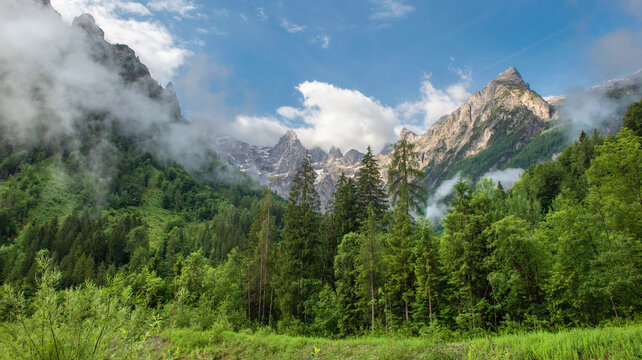 view on forest with Dolomites  peak mountains background in Italy with with scattered white clouds in the treetops