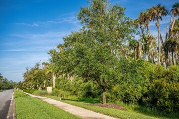 Obraz premium landscaping in nocatee