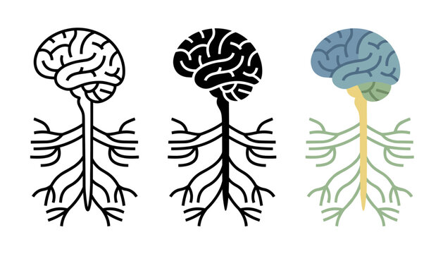 Human brain and nervous system icon set, central nervous system vector illustration