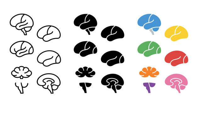 Set of brain icons, human brain anatomy, vector illustration