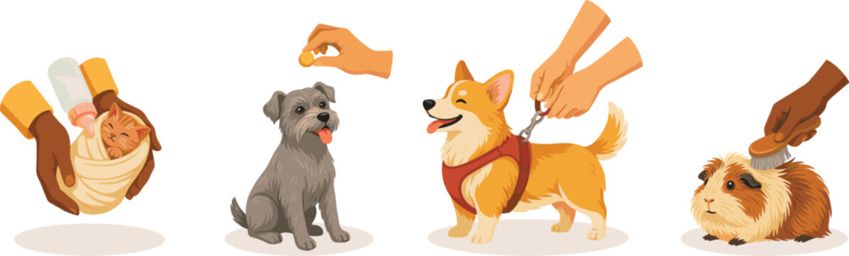 Vector set of human hands caring for domestic pets bottle feeding kitten training puppy walking corgi and grooming guinea-pig