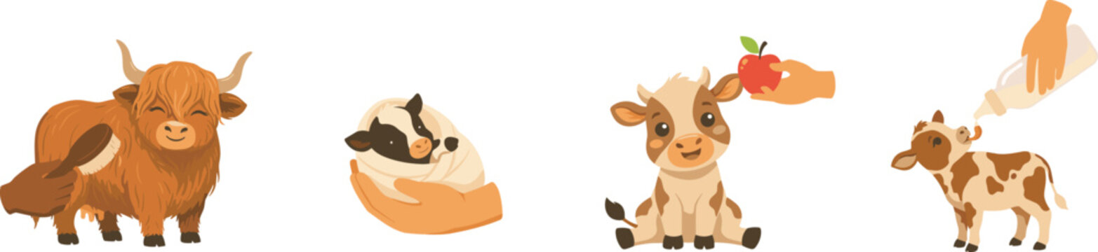 Vector set of human hands caring for farm calves brushing highland cow holding feeding milk and offering apple