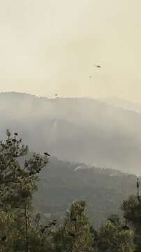 Sky rescue during forest fire
