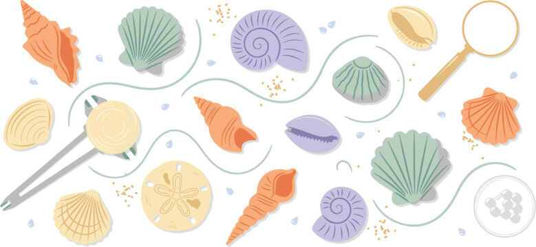 Vector set of sea shells featuring pastel scallops sand dollar tweezers magnifying glass and marine biologist scientific tools