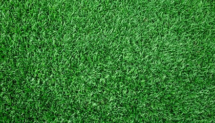 Obraz premium Seamless pattern of dense green grass texture captured from directly above.