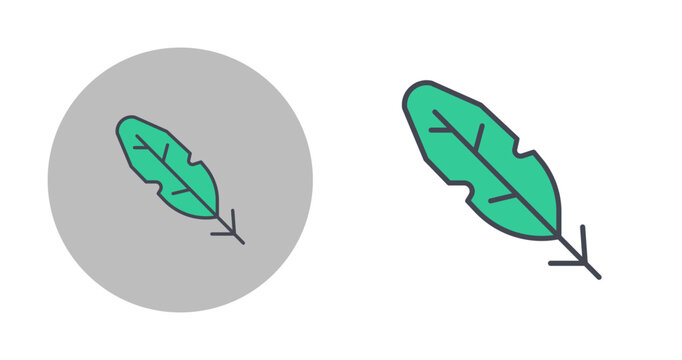 Feathers Vector Icon
