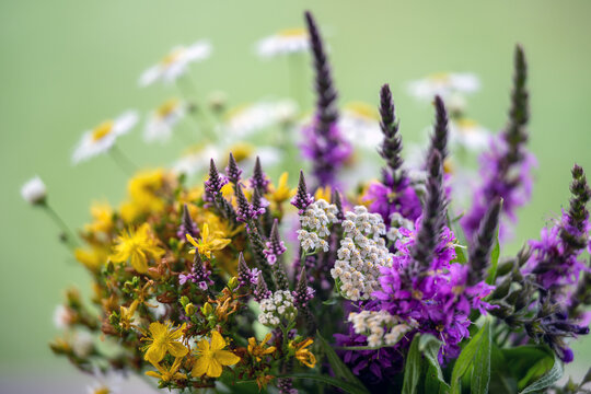 Background with ample space for text, suitable for homeopathy, naturopathy, and alternative medicine