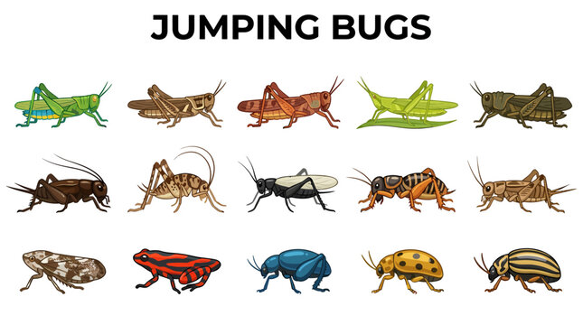 A grid of 15 cartoonstyle illustrations featuring various insects and a frog displayed on a white background