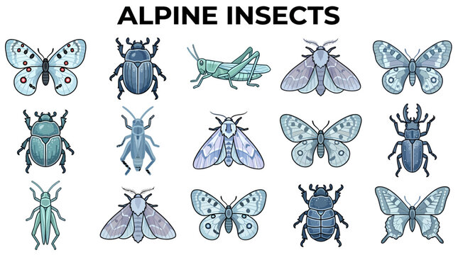 A grid of 15 stylized light blue alpine insect illustrations including beetles butterflies moths and crickets