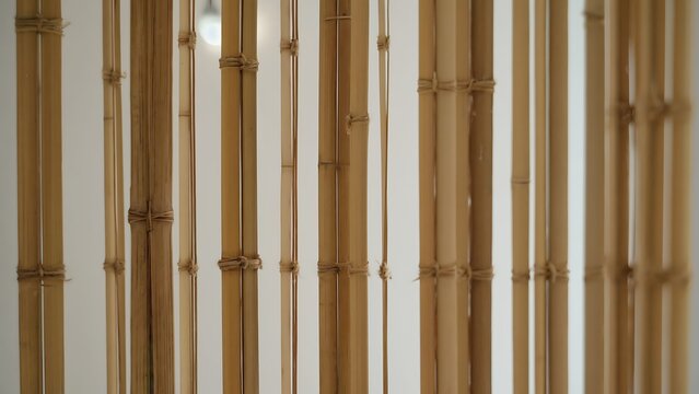Bamboo sticks tied together
