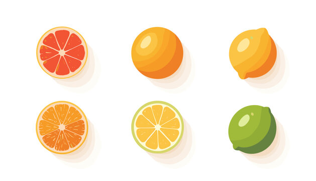 Set of colorful citrus fruit icons including grapefruit orange and lime slices.