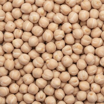 Fresh dry chickpeas or garbanzo beans background with detailed organic texture