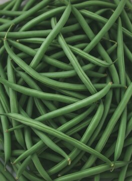Fresh Green Beans Background - Close Up Top View Texture