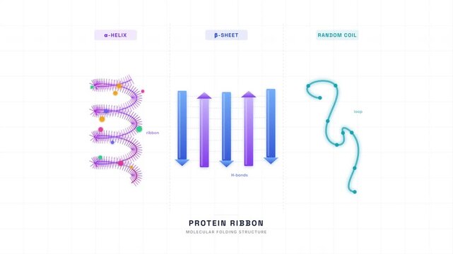 Protein Ribbon Diagram Alpha Helix 3D Rotation &mdash; Molecular Structure Biochemistry Loop