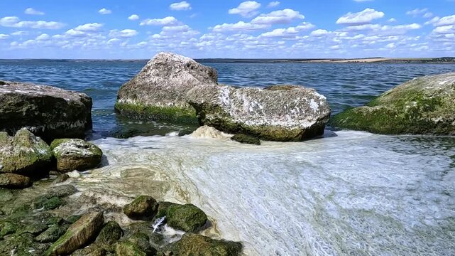 Summer Algal Bloom with White Sea Foam on a Rocky Ocean Coast.