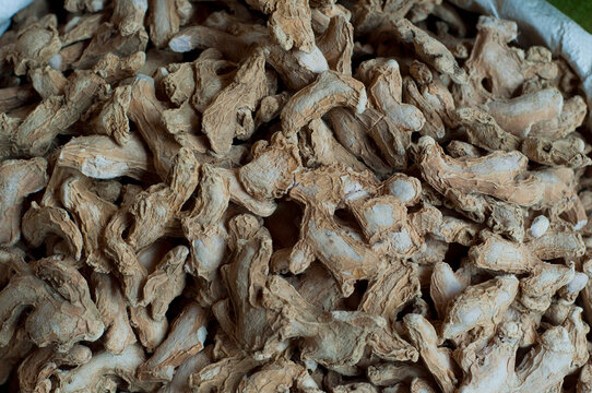 Close-up of dried ginger for sale at the market