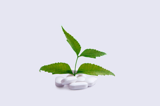 Pills made from medicinal neem