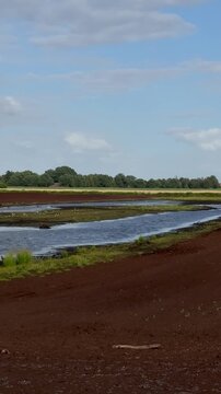 Feuchtgebiet im Moor als wichtiger Lebensraum f&uuml;r Wasserv&ouml;gel - Renaturiertes Moor mit G&auml;nsen auf flachen Wasserfl&auml;chen