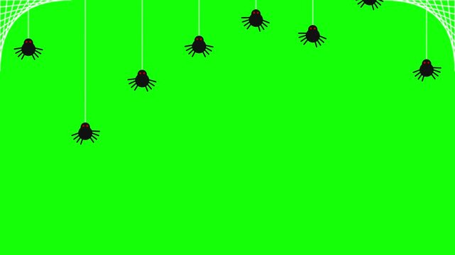 Creepy Black Spiders Bouncing on Webs Halloween Loop Animation Green Screen