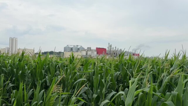 View of methanol and ethanol factory plant in corn field. Bioagra Goswinowice Ethanol Production Plant located near Nysa in Poland. Factory of bioethanol and ethanol produced from corn grain