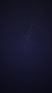 Abstract Light Trails in Dark Night Scene