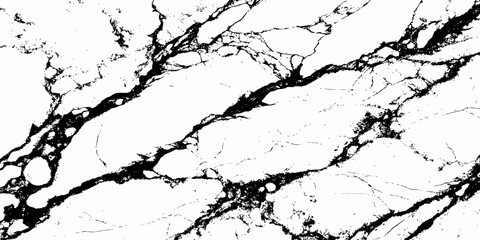 Obraz premium Premium White Marble Background Featuring Strong Black Veins for Luxury Architecture and Design.
