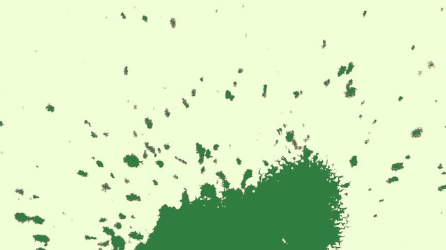 Green, White, Black Man and Cat and Tree on Green Screen Background Horizontal 16:9