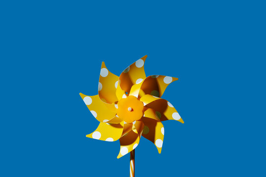 A yellow polka dot pinwheel stands against a blue background