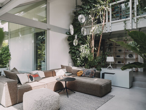 Spacious modern living room in a luxury villa with indoor plants