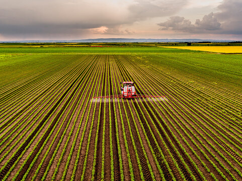 Tractor spraying pesticide on soybean field at sunset