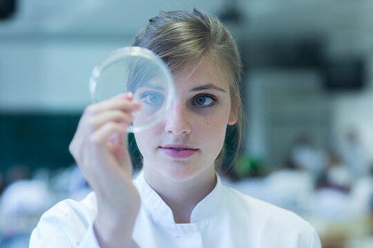 Young female natural scientist watching bacteria culture in petri dish at microbiology laboratory