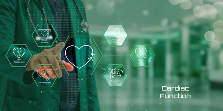 Cardiac Function: Comprehensive Analysis of Heart Health and Medical Technology