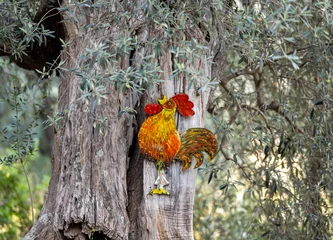 Colorful wooden rooster figurine, garden ornament, hanging from an old olive tree in Montemassi, a picturesque village in Tuscany, Italy. © wjarek